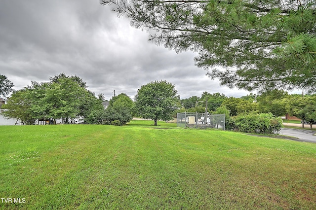 1648 E St, Kingsport, TN 37664 - view of grassy yard