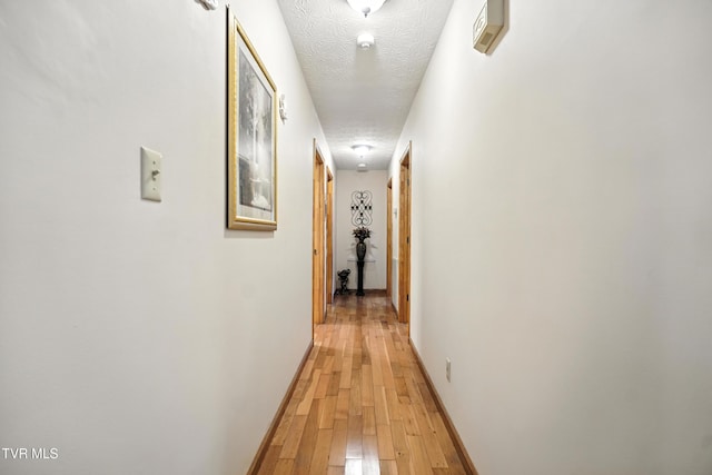 1037 Swift Hollow Rd, Mountain City, TN 37683 - corridor featuring a textured ceiling and light wood-style floors