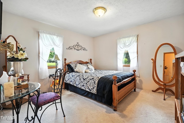 1037 Swift Hollow Rd, Mountain City, TN 37683 - carpeted bedroom featuring multiple windows
