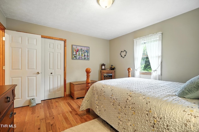 1037 Swift Hollow Rd, Mountain City, TN 37683 - bedroom featuring light wood finished floors and a closet