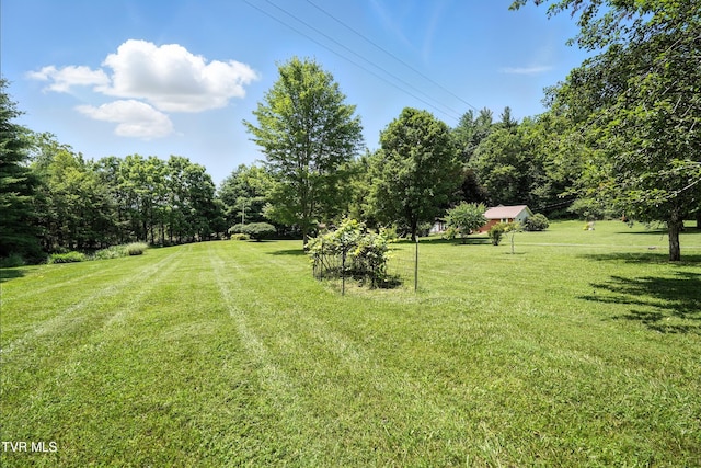 1037 Swift Hollow Rd, Mountain City, TN 37683 - view of grassy yard