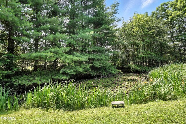 1037 Swift Hollow Rd, Mountain City, TN 37683 - view of undeveloped land
