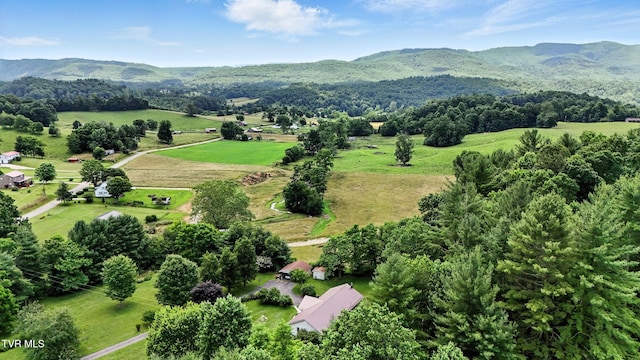 1037 Swift Hollow Rd, Mountain City, TN 37683 - view of mountain background with rural landscape