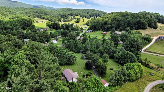1037 Swift Hollow Rd, Mountain City, TN 37683 - view of property location featuring a forest