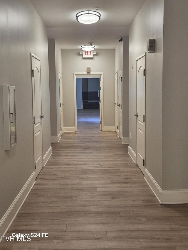 116 Tipton St Unit 209, Johnson City, TN 37604 - hall with wood finished floors