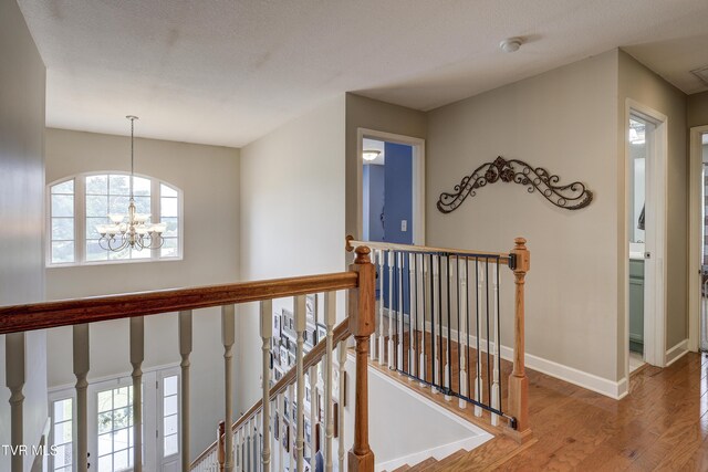 149 Christine Ct, Johnson City, TN 37601 - photo 17
