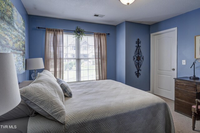 149 Christine Ct, Johnson City, TN 37601 - photo 19
