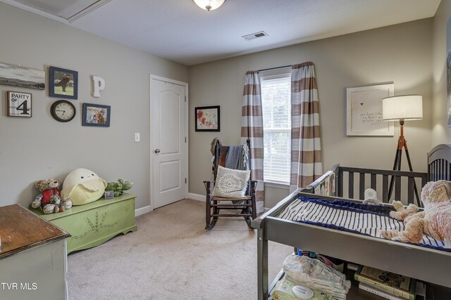 149 Christine Ct, Johnson City, TN 37601 - photo 22