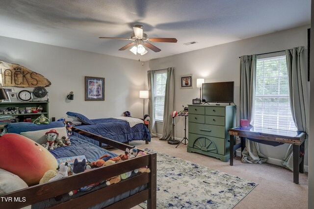 149 Christine Ct, Johnson City, TN 37601 - photo 24