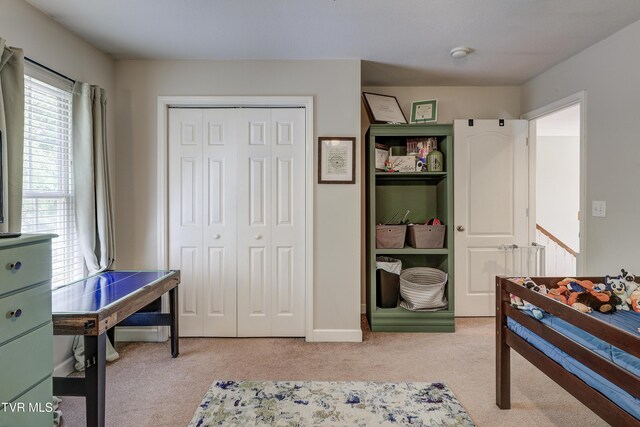 149 Christine Ct, Johnson City, TN 37601 - photo 26