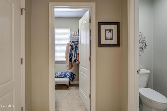149 Christine Ct, Johnson City, TN 37601 - photo 34