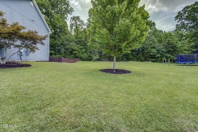 149 Christine Ct, Johnson City, TN 37601 - photo 41
