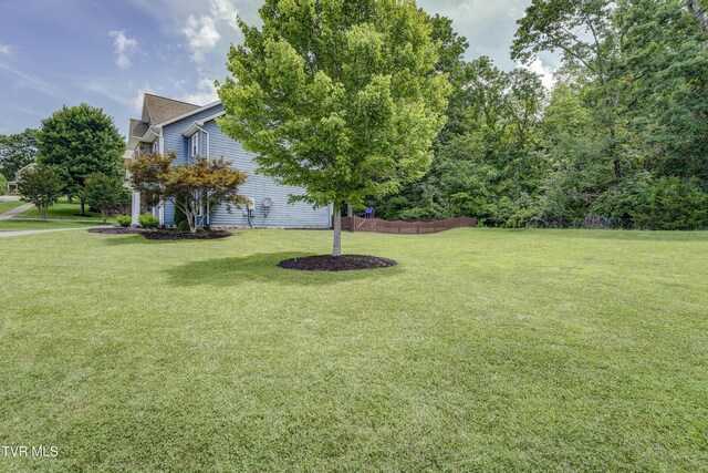 149 Christine Ct, Johnson City, TN 37601 - photo 42