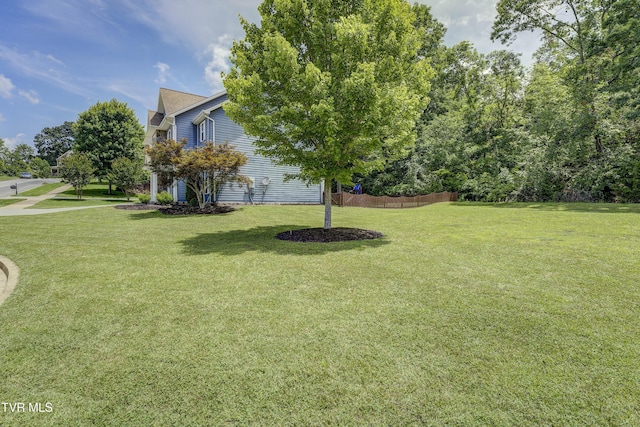 149 Christine Ct, Johnson City, TN 37601 - photo 43