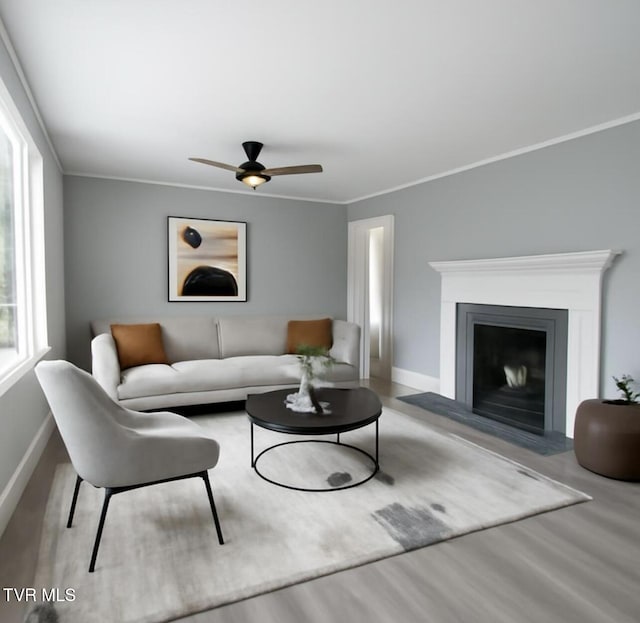 3974 Memorial Blvd, Kingsport, TN 37664 - living room featuring wood finished floors, a ceiling fan, crown molding, and a fireplace with flush hearth