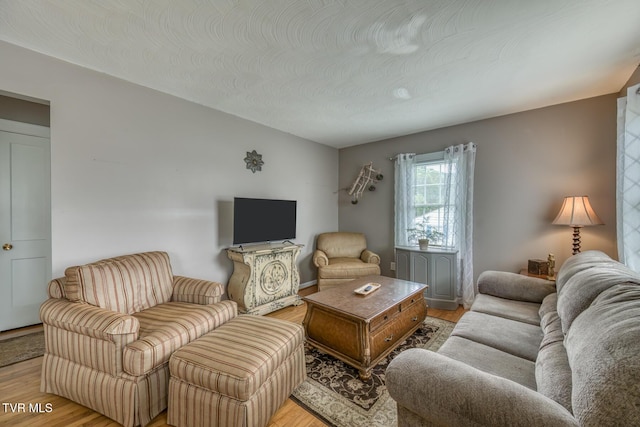 2344 Anderson St, Bristol, TN 37620 - living area with light wood finished floors