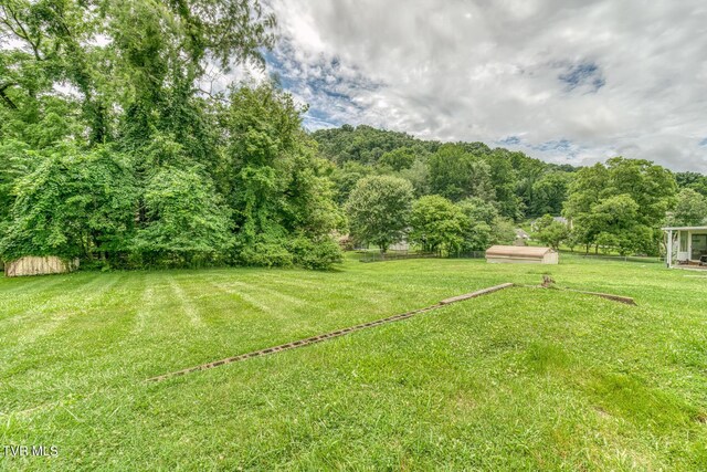 2344 Anderson St, Bristol, TN 37620 - view of yard