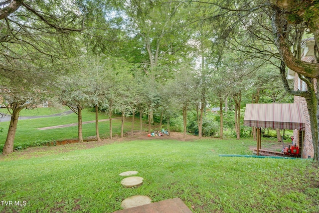 103 Dogwood Ln, Johnson City, TN 37604 - photo 41