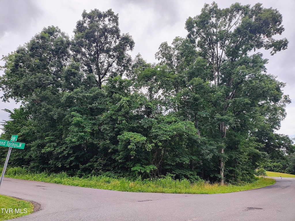 LOT16 Easley Dr, Kingsport, TN 37664