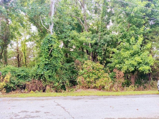 LOT10 Highland Cir, Bluff City, TN 37618 - photo 1