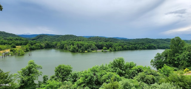 20216 Heron Cir, Abingdon, VA 24211 - water view featuring a forest