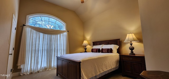 20216 Heron Cir, Abingdon, VA 24211 - carpeted bedroom with vaulted ceiling and ceiling fan