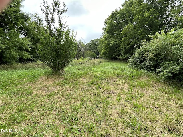 531 NW Mullins St, Wise, VA 24293 - photo 4