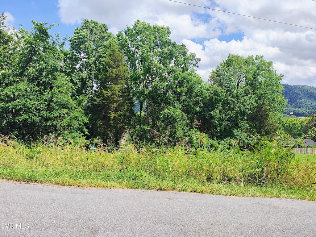 LOT13 Mountain View Dr, Bristol, TN 37620