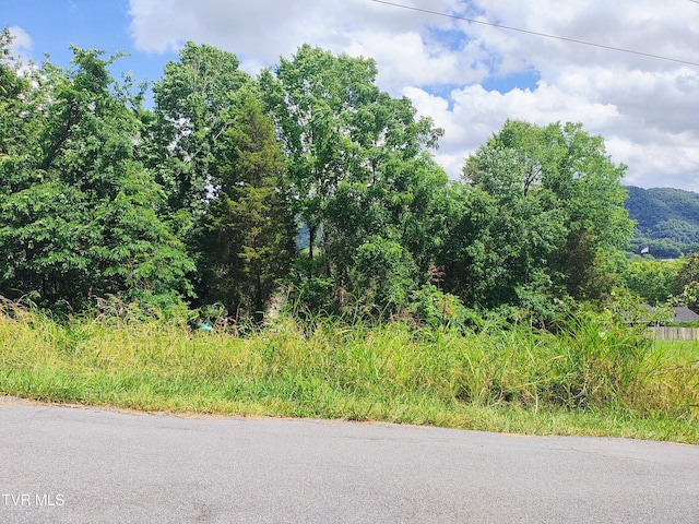 LOT13 Mountain View Dr, Bristol, TN 37620