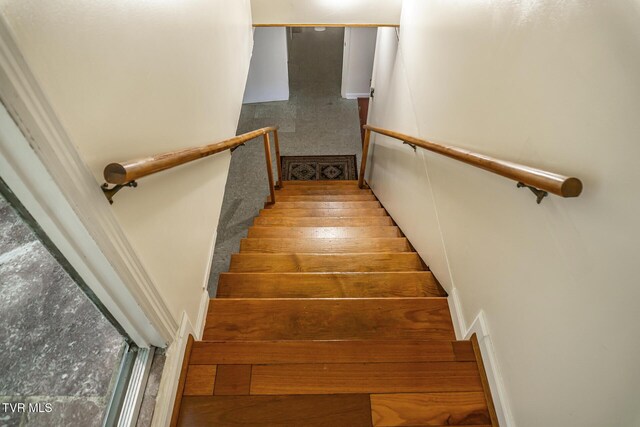 2449 Jennings Dr, Kingsport, TN 37660 - photo 32