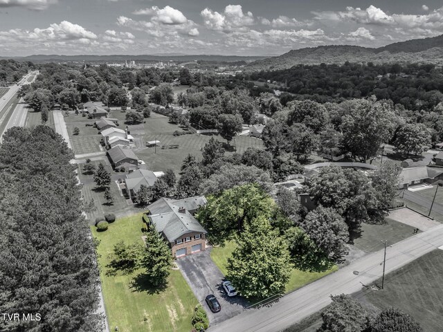 2449 Jennings Dr, Kingsport, TN 37660 - photo 45