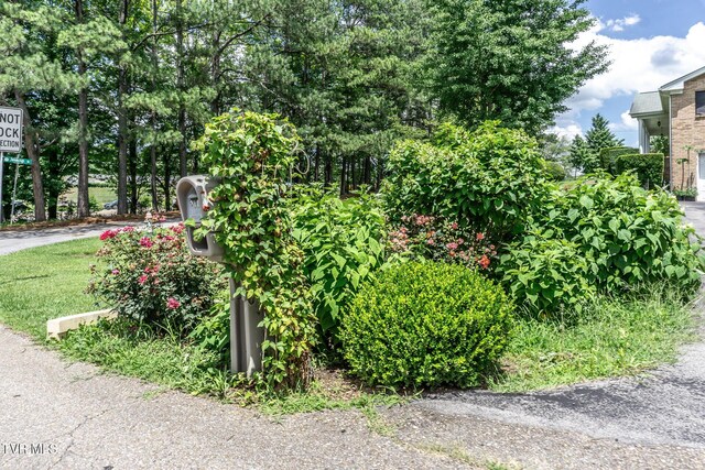 2449 Jennings Dr, Kingsport, TN 37660 - photo 54