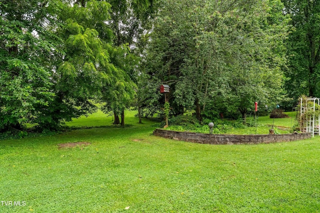 171 Popular Dr, Jonesborough, TN 37659 - photo 14