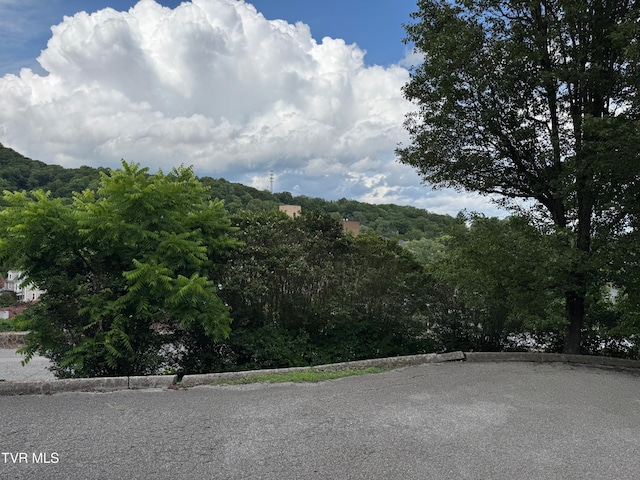 700 NW The Terrace St Unit D, Norton, VA 24273 - view of mountain background