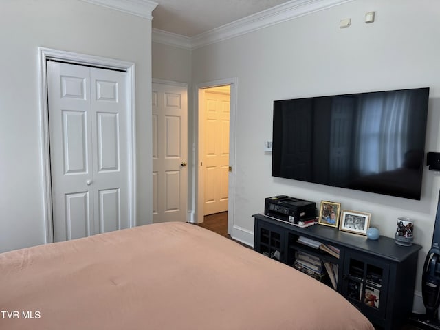 700 NW The Terrace St Unit D, Norton, VA 24273 - bedroom featuring crown molding and a closet