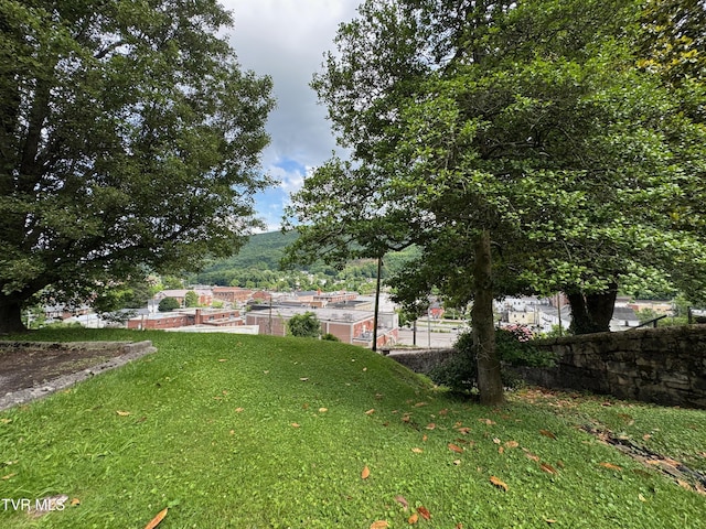 700 NW The Terrace St Unit D, Norton, VA 24273 - view of green lawn