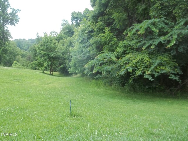 1167 Cherry Blossom Ln, Talbott, TN 37877