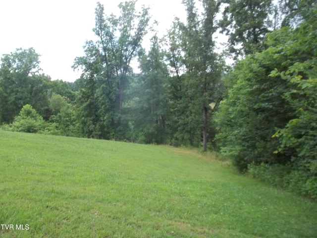 1167 Cherry Blossom Ln, Talbott, TN 37877