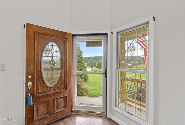 945 Dashaway Rd, Chuckey, TN 37641 - entrance foyer featuring wood finished floors, healthy amount of natural light, and a high ceiling