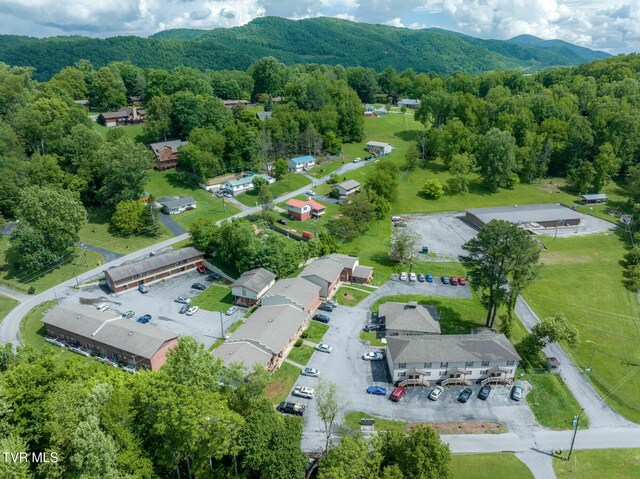 80 Jones Rd, Erwin, TN 37650 - photo 8