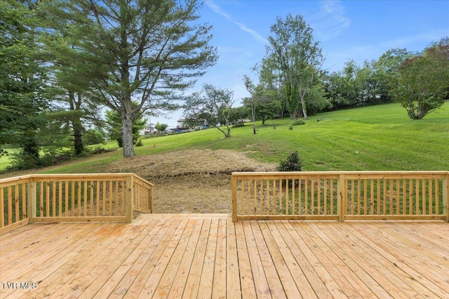 419 Ashville Ave, Mount Carmel, TN 37645 - photo 6
