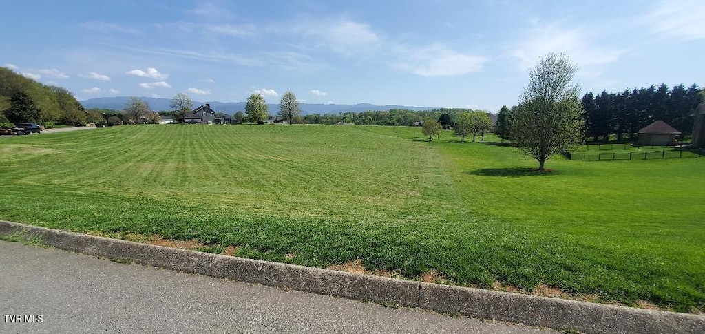 TBD Plantation Dr, Greeneville, TN 37745 - photo 3