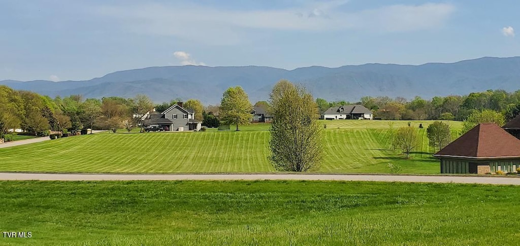 TBD Plantation Dr, Greeneville, TN 37745 - photo 1