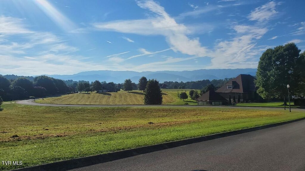 TBD Plantation Dr, Greeneville, TN 37745 - photo 4