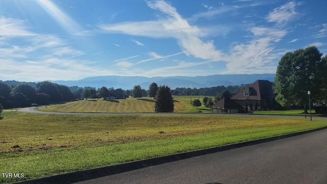 TBD Plantation Dr, Greeneville, TN 37745 - photo 4