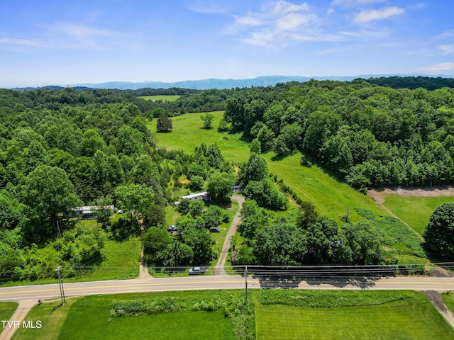 5020 Kingsport Hwy, Afton, TN 37616