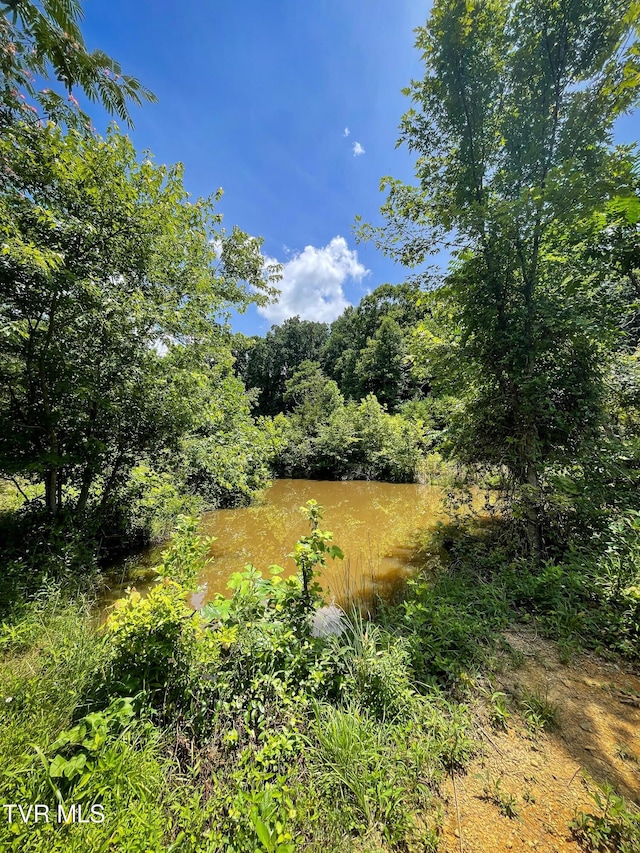 5020 Kingsport Hwy, Afton, TN 37616