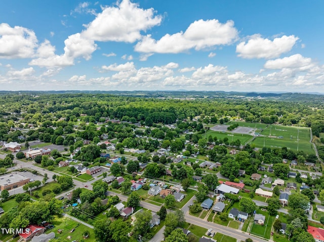 1411 E Unaka Ave, Johnson City, TN 37601 - drone / aerial view of a forest