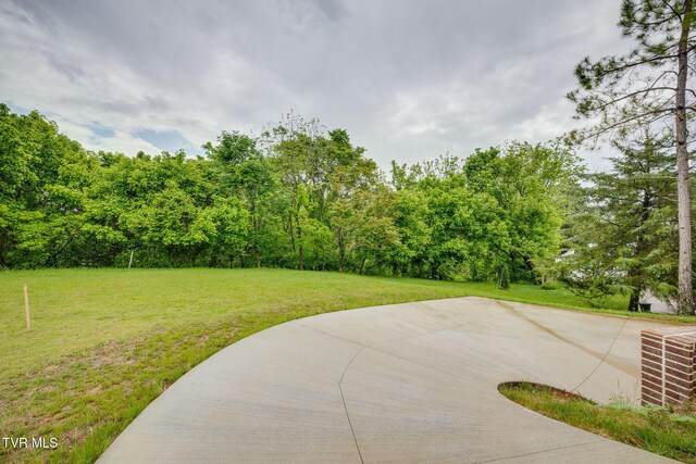 2009 Idle Hour Rd, Kingsport, TN 37660 - view of grassy yard
