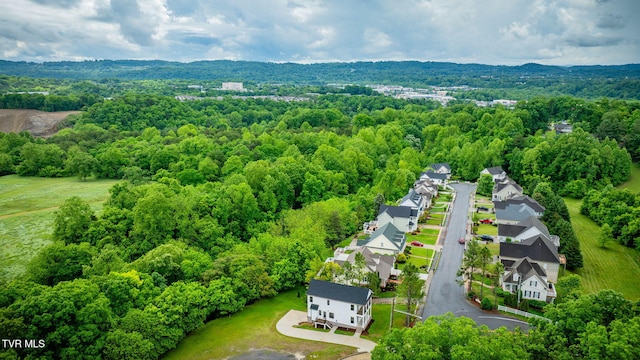 2009 Idle Hour Rd, Kingsport, TN 37660 - aerial view of residential area with a heavily wooded area